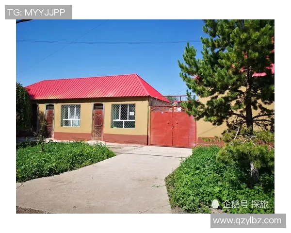 你不知道的公牛世界：十大鲜为人知的冷知识大揭秘