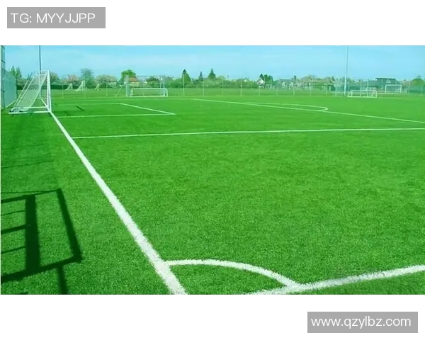 足球场草皮技术揭秘 足球场草皮技术揭秘
