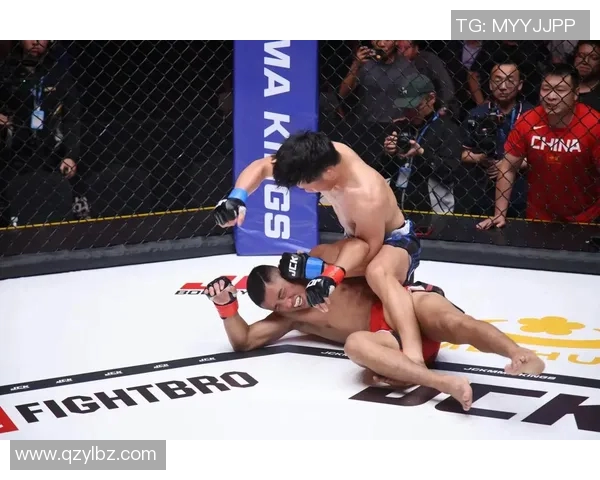 MMA格斗之夜：KO瞬间集锦